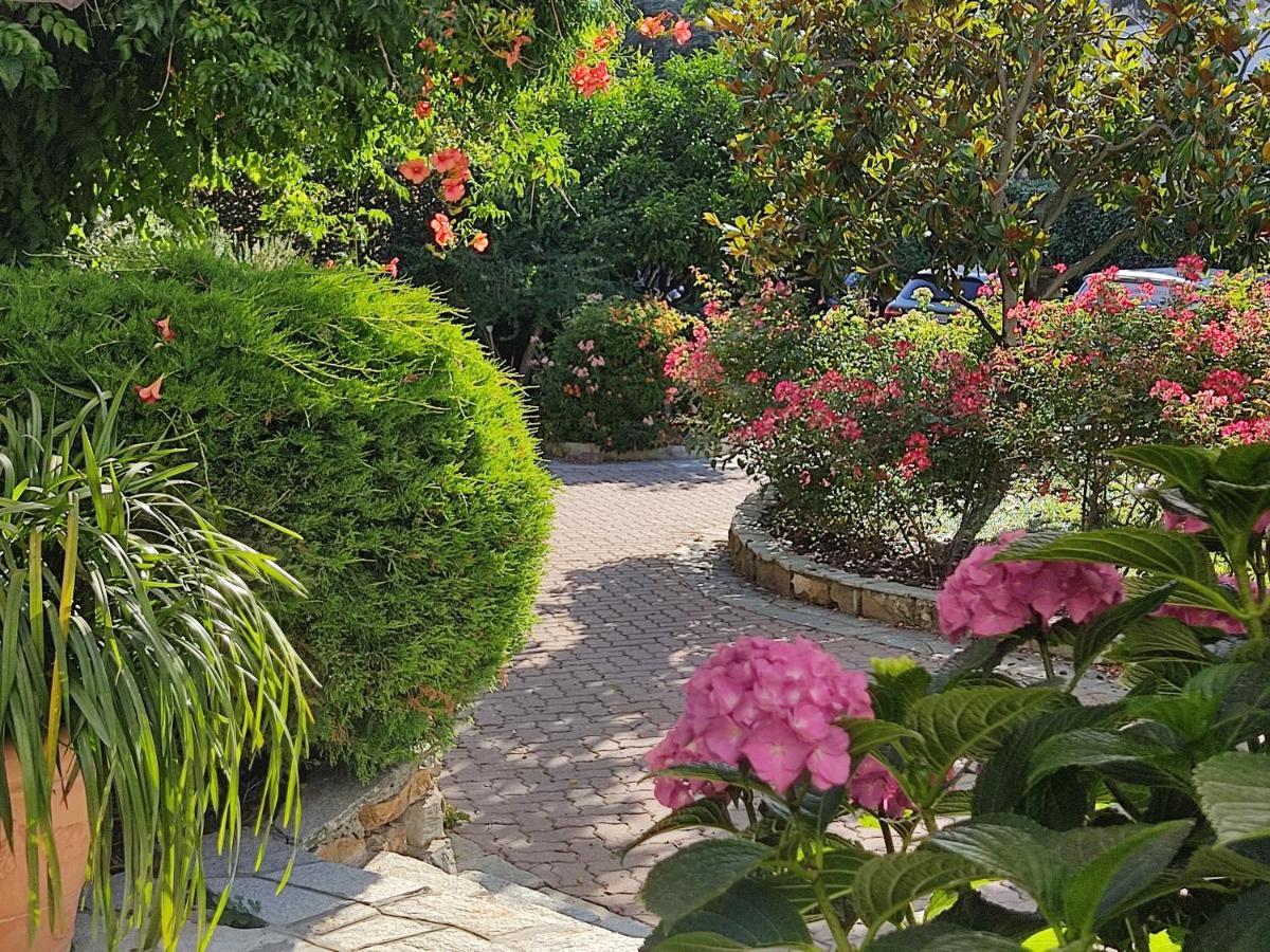 Ca De Rossana Bed&Breakfast ซานเรโม ภายนอก รูปภาพ